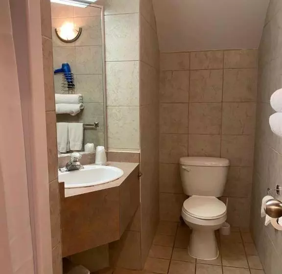 Fotos del hotel Visitel:  11