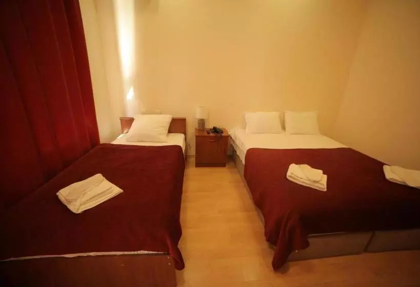 Fotos del hotel Vip Victoria:  14