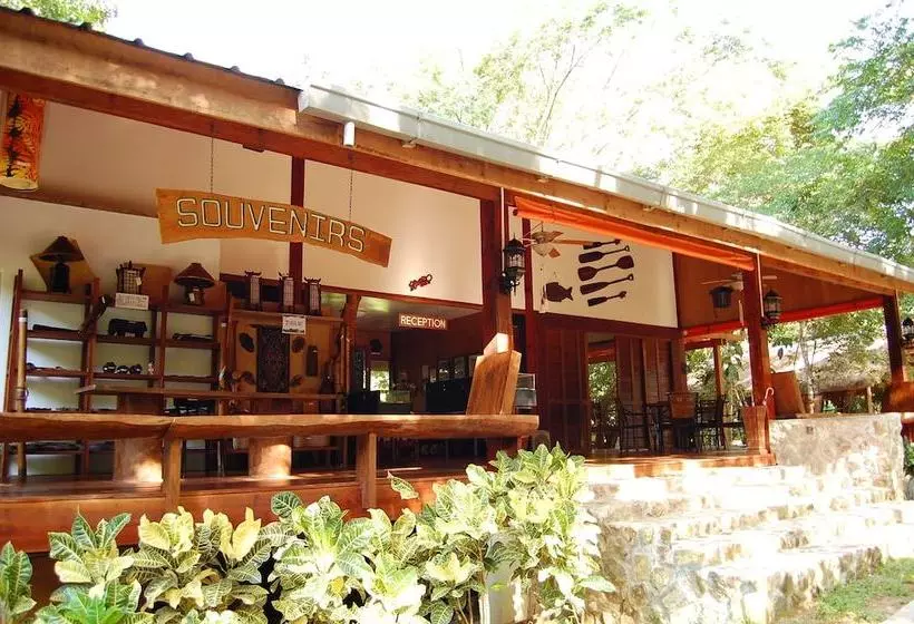 Fotos del hotel Busuanga Island Paradise:  8