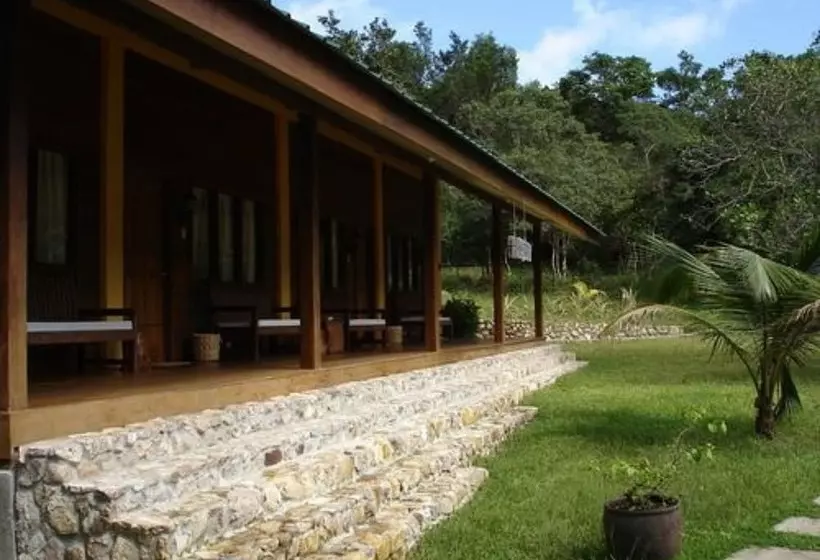 Fotos del hotel Busuanga Island Paradise:  9