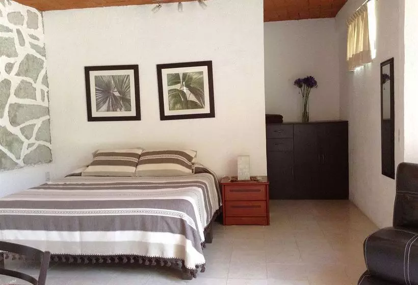 Fotos del hotel Hotel Villa Oaxaca:  18