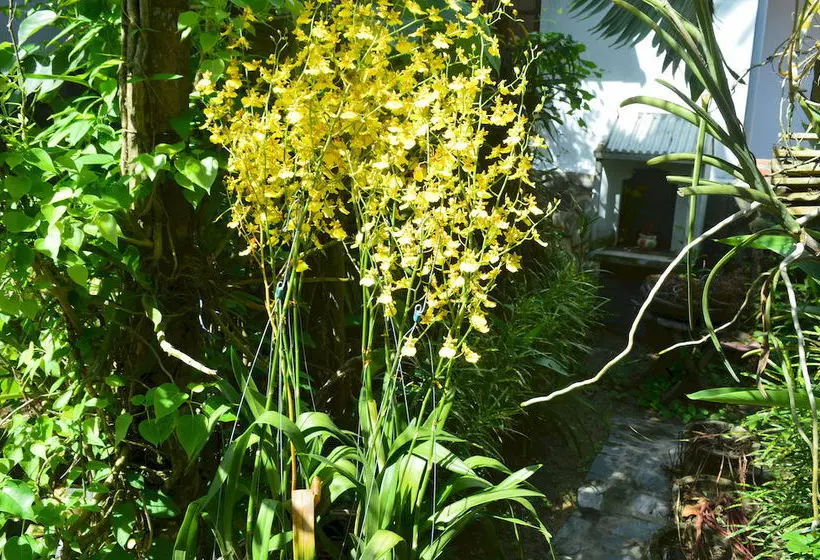 Fotos del hotel The Hoi An Orchid Garden Villas:  23