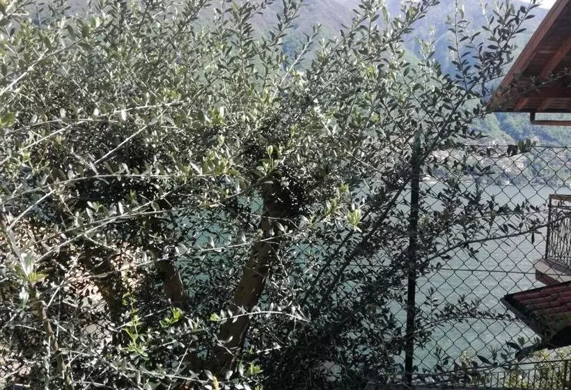 Fotos del hotel Plinios:  6