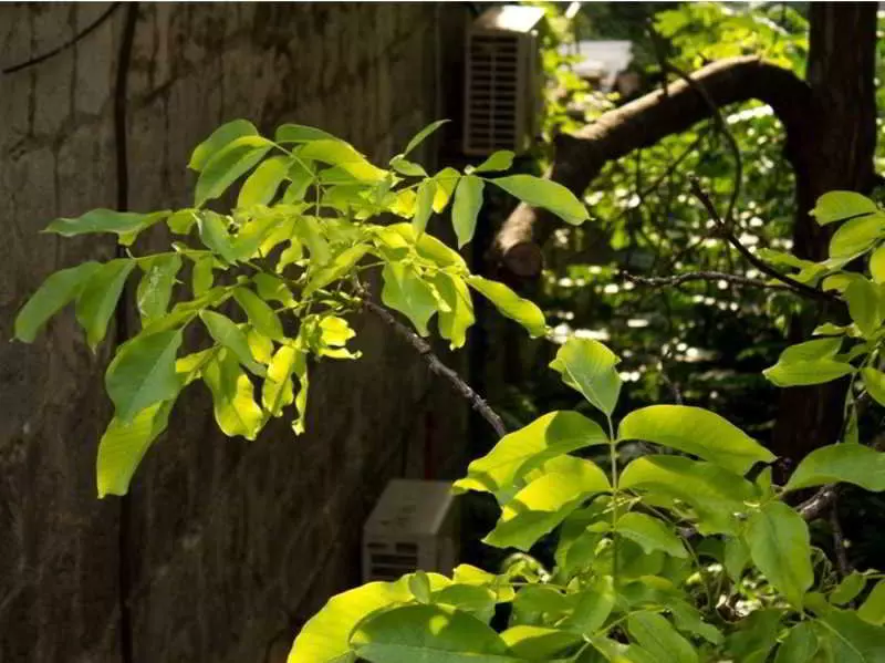 Fotos del hotel Sunny Split:  5