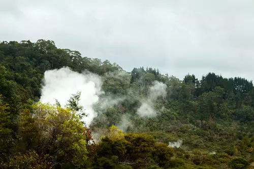 Fotos del hotel Pohutu Lodge Motel:  5