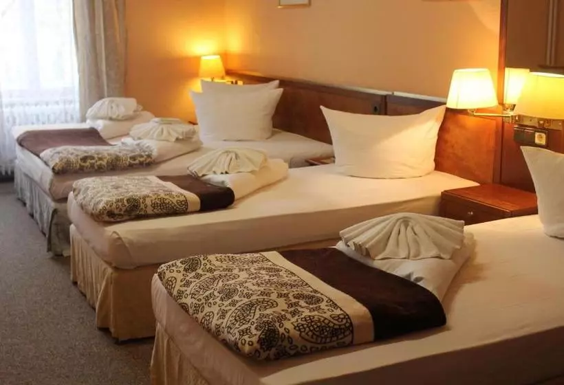 Fotos del hotel Potsdamer Hof Berlin:  7