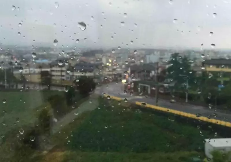 Fotos del hotel Jinlu International:  5