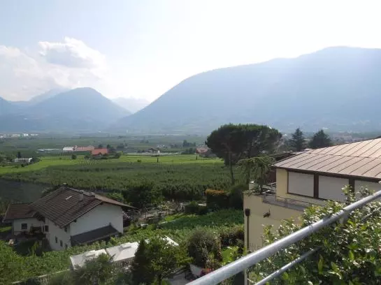 Fotos del hotel Alexander:  12