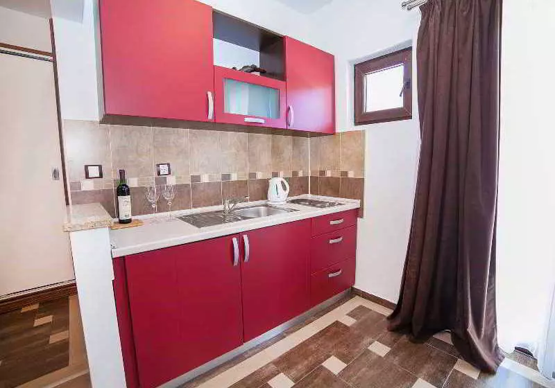 Fotos del hotel Vile Dimic:  13