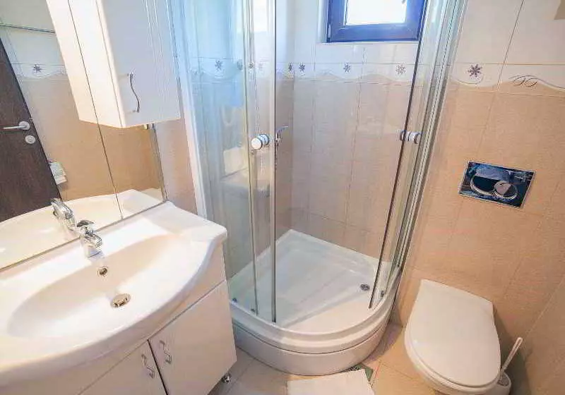 Fotos del hotel Vile Dimic:  14