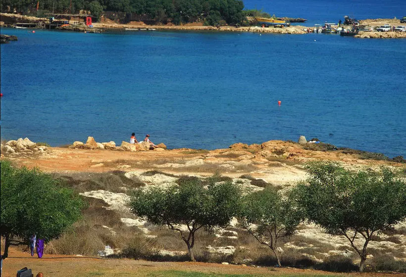 Fotos del hotel Mimosa Beach:  11