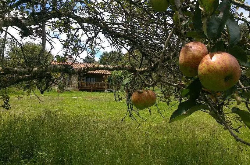 Fotos del hotel La Tierra Grande:  14