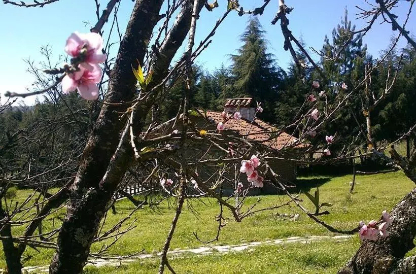 Fotos del hotel La Tierra Grande:  15