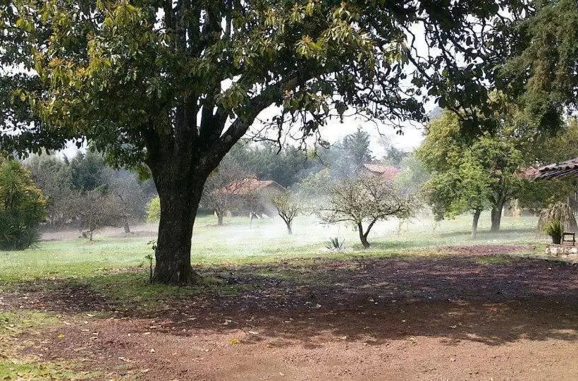 Fotos del hotel La Tierra Grande:  11