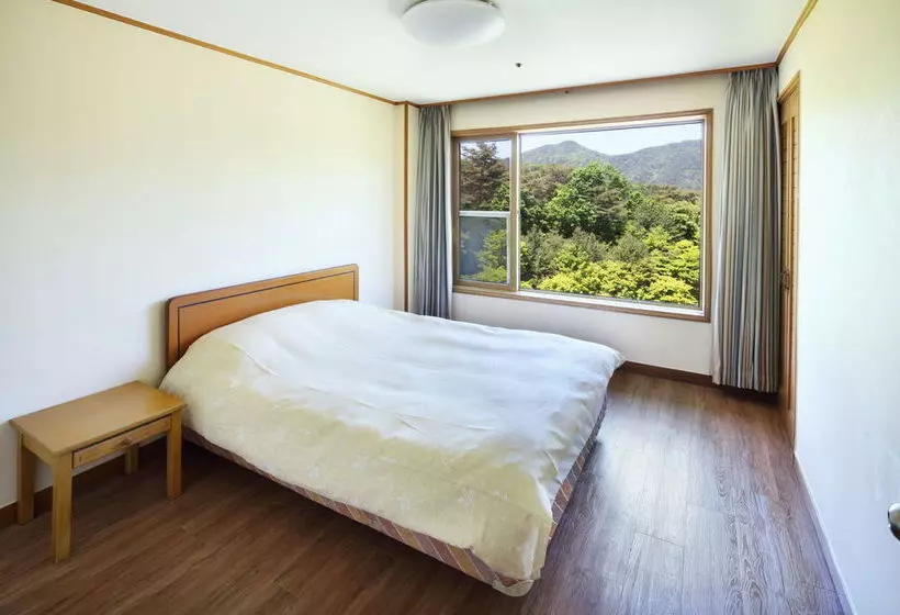 Fotos del hotel Hanwha Resort Suanbo:  2