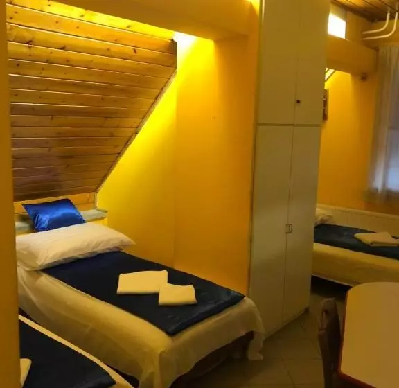 Fotos del hotel Sashalom:  14