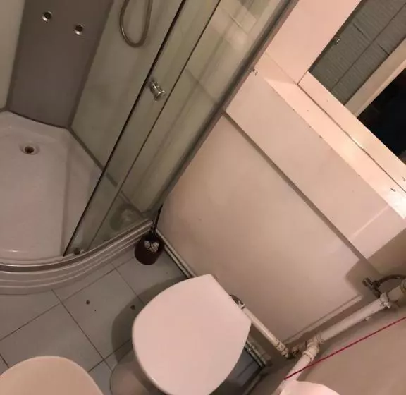 Fotos del hotel Sashalom:  13