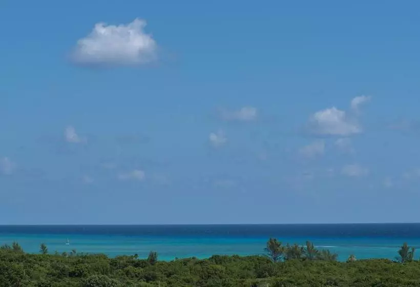 Fotos del hotel Portea  Playa Del Carmen 5th Ave Midtown:  8