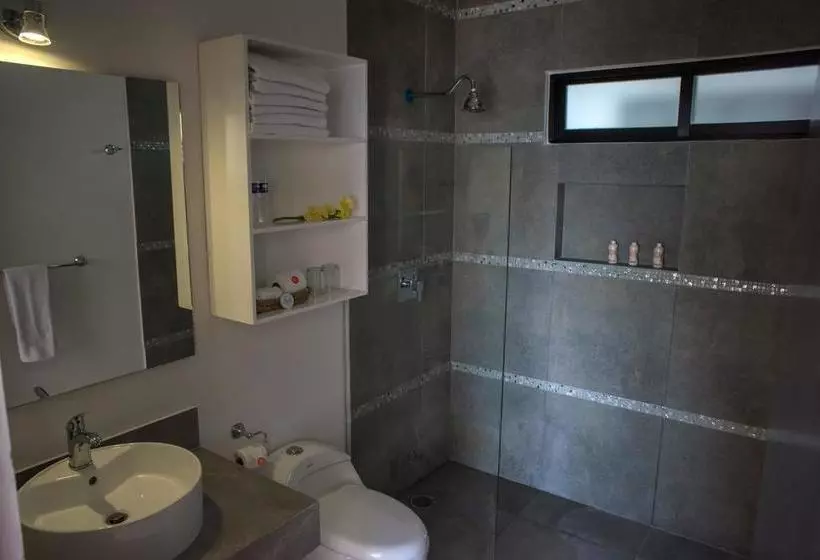Fotos del hotel Portea  Playa Del Carmen 5th Ave Midtown:  7