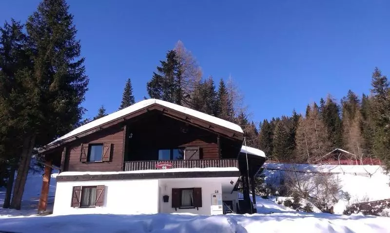 Fotos del hotel Fichtenblockhütte:  3