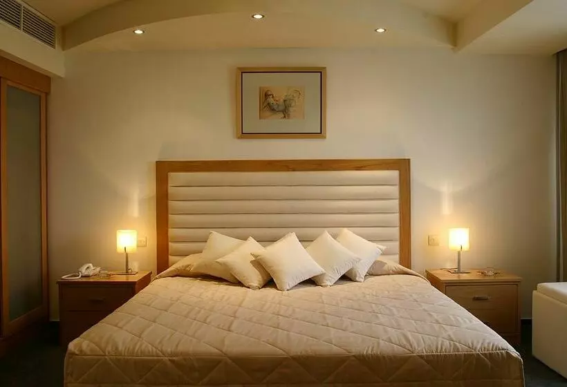 Fotos del hotel Europa Plaza:  10