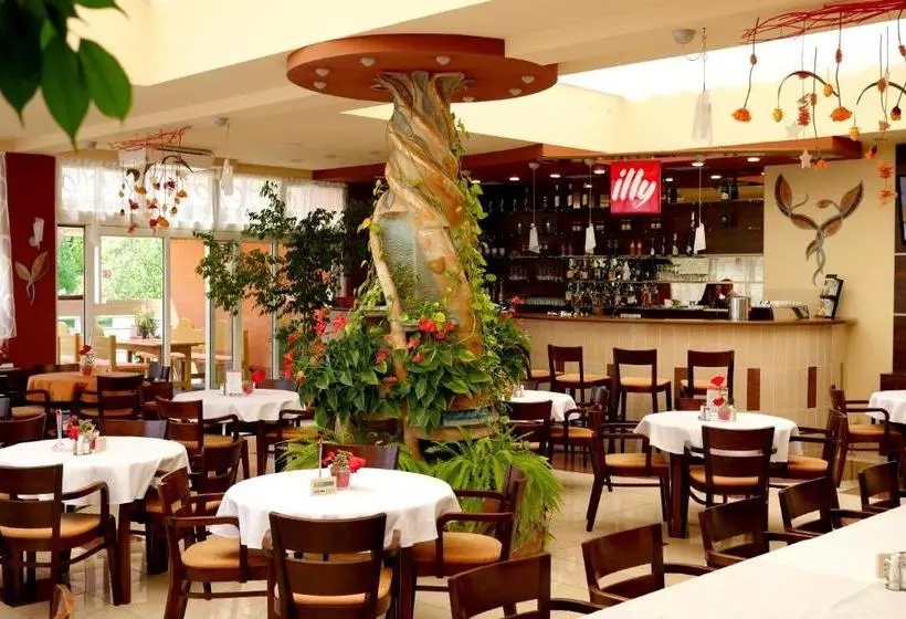 Fotos del hotel Baronka:  13