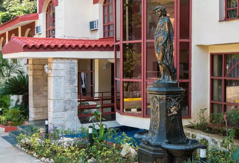 Fotos del hotel Gaviota El Bosque:  10