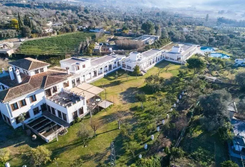 Fotos del hotel Taray Botanico:  6