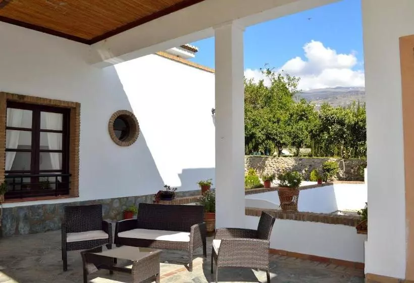 Fotos del hotel Taray Botanico:  5