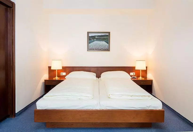 Fotos del hotel Tulip Inn Vienna Thüringer Hof:  2