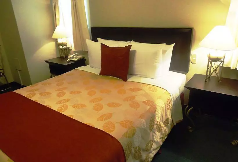 Fotos del hotel Leon De Oro Inn & Suites:  21