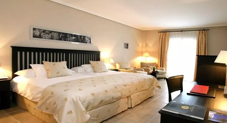 Fotos del hotel Palmera Plaza:  22