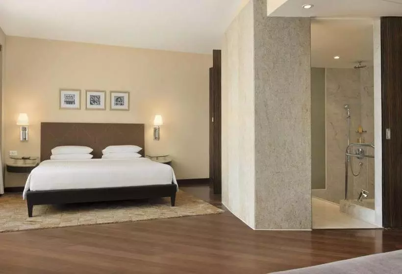 Fotos del hotel Hyatt Regency Mumbai International Airport:  2