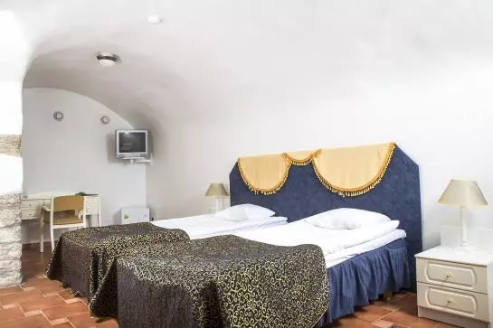 Fotos del hotel Olevi Residence:  8