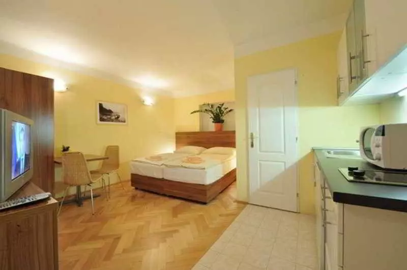 Fotos del hotel Aparthouse U Zlate Podkovy:  10