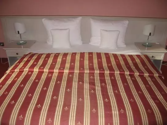 Fotos del hotel Hradna Brana:  11