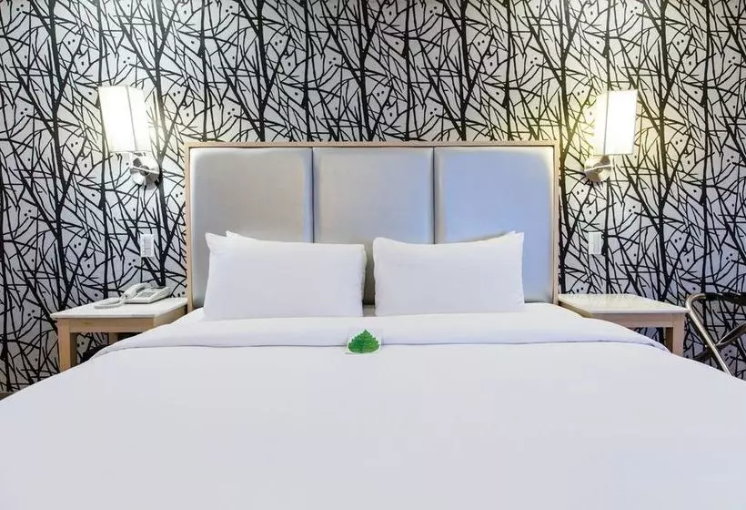 Fotos del hotel See You Hotel:  20