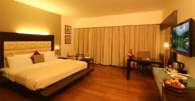 Fotos del hotel Krishna Palace:  7