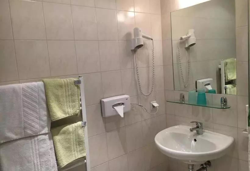 Fotos del hotel Pension Anifalstaff:  5