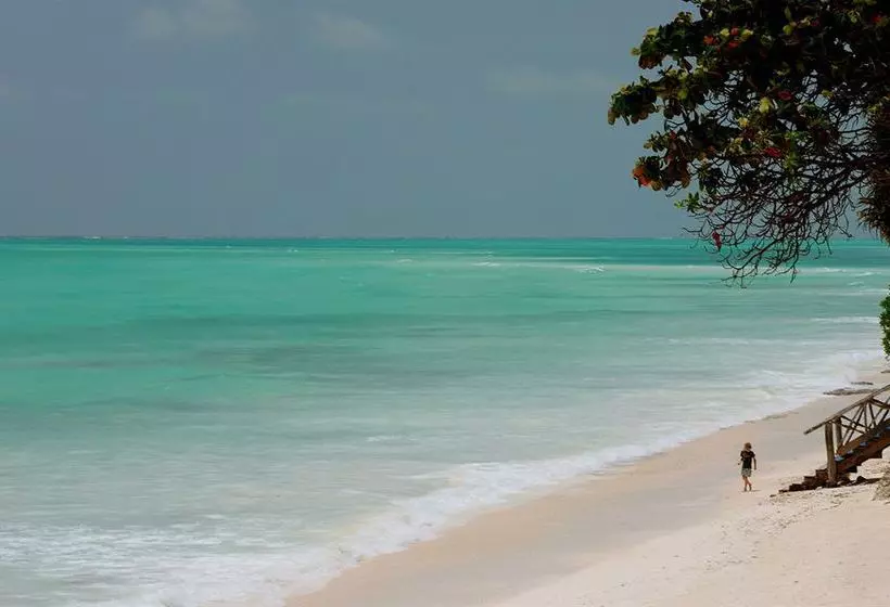 Fotos del hotel Ras Nungwi Beach:  16