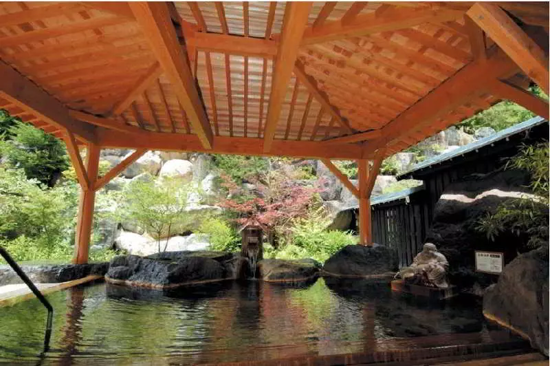 Fotos del hotel Okuhida Yakushi No Yu Honjin:  6