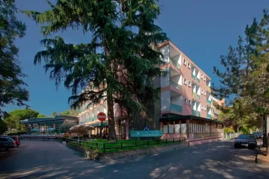 Fotos del hotel Plaza:  2