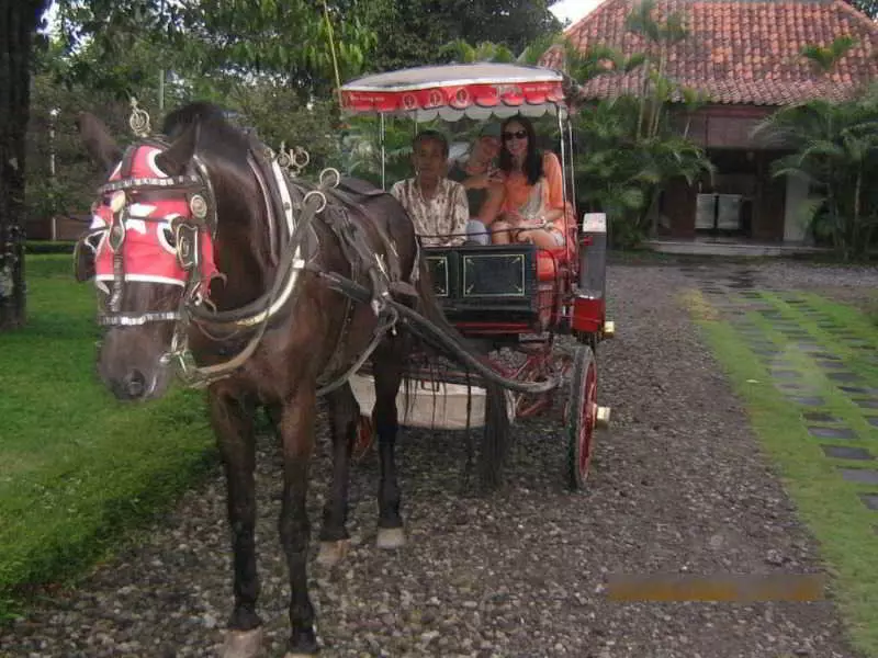 Fotos del hotel Rumah Sleman:  4