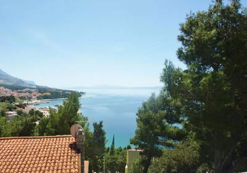 Fotos del hotel Boris:  14