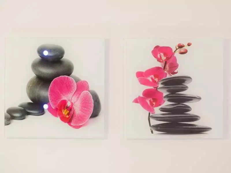 Fotos del hotel Dalmatian Villas:  4