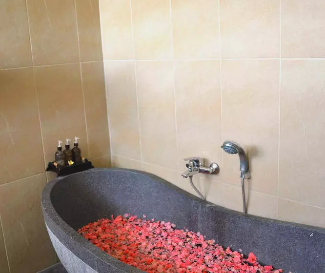 Fotos del hotel Villa Adhyatma:  11