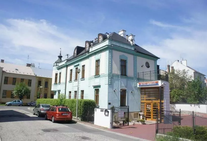 Fotos del hotel Lafayette:  5