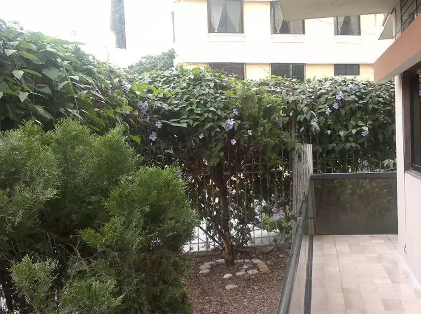 Fotos del hotel Expedition:  3