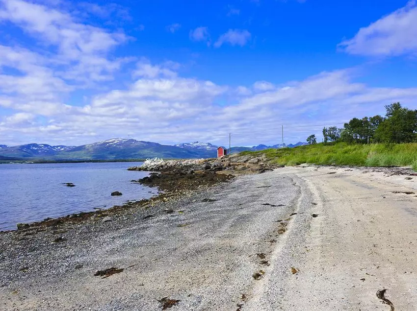 Fotos del hotel Sydspissen:  13