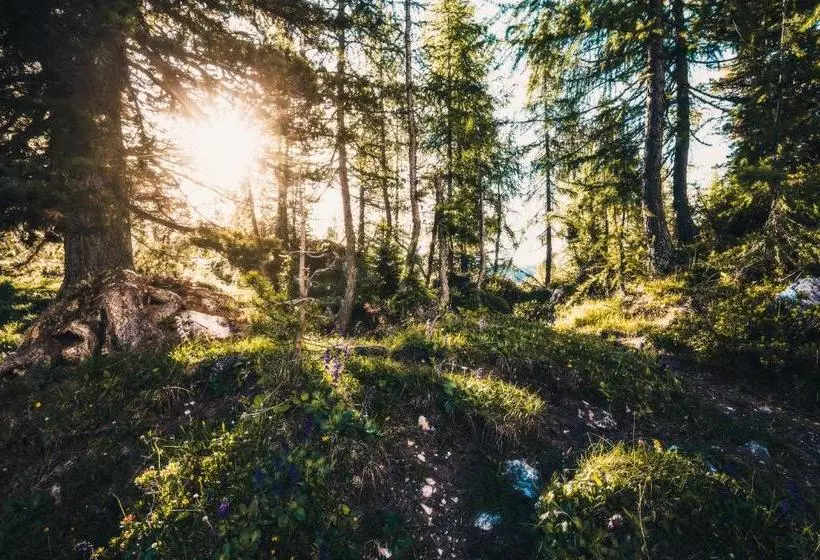 Fotos del hotel Martini:  5